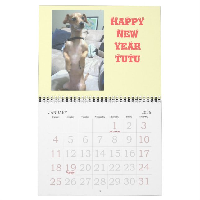 Calendrier Mural Arachide la Chiweenie (Jan 2026)
