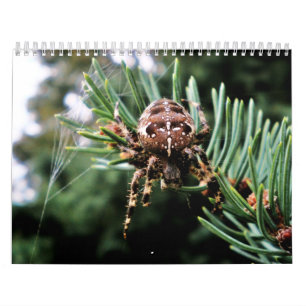 Calendrier Mural Arachnida