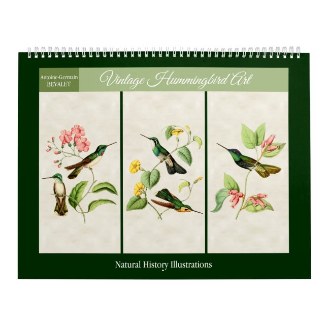 Calendrier Mural Art vintage Hummingbird 2026 (Protection)