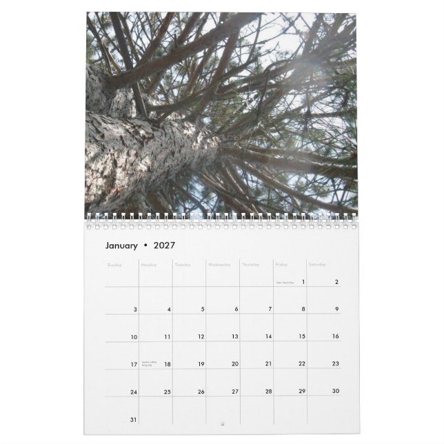 Calendrier Mural artsy (Jan 2027)