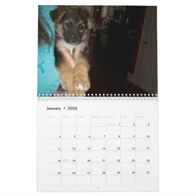 Calendrier Mural Baja/Hercule (Jan 2026)