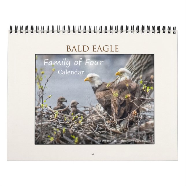Calendrier Mural Bald Eagle Famille de quatre (Protection)