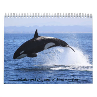Calendrier Mural Baleines et dauphins de Monterey Bay