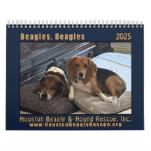 Calendrier mural beagle 2025