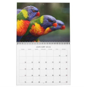 Calendrier Mural Beaux oiseaux