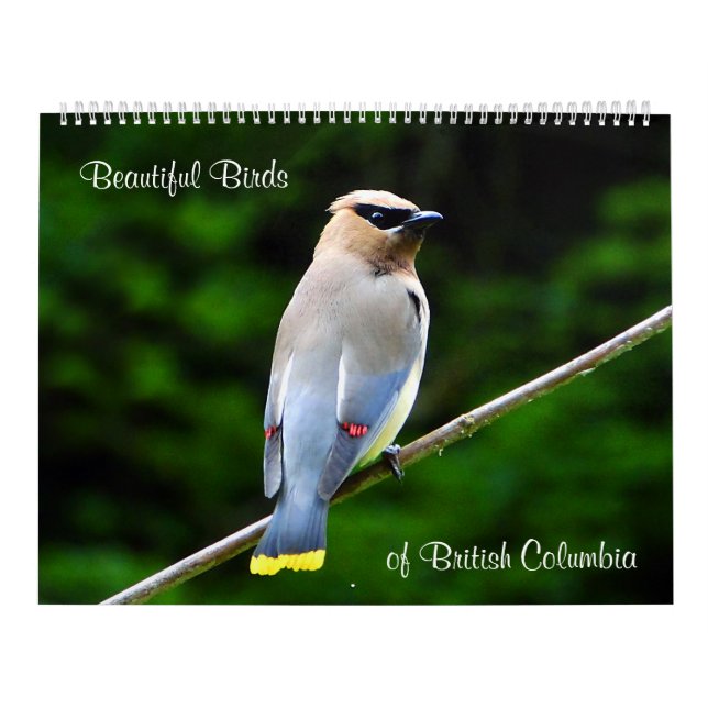 Calendrier Mural Beaux oiseaux de Colombie-Britannique (Protection)