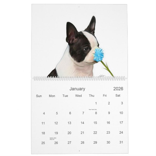 Calendrier Mural Bébés 2 de Boston (Jan 2026)