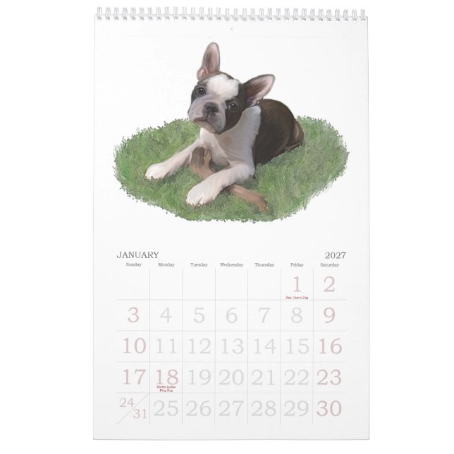 Calendrier Mural Bébés de Boston Terrier (Jan 2027)