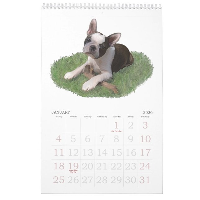 Calendrier Mural Bébés de Boston Terrier (Jan 2026)