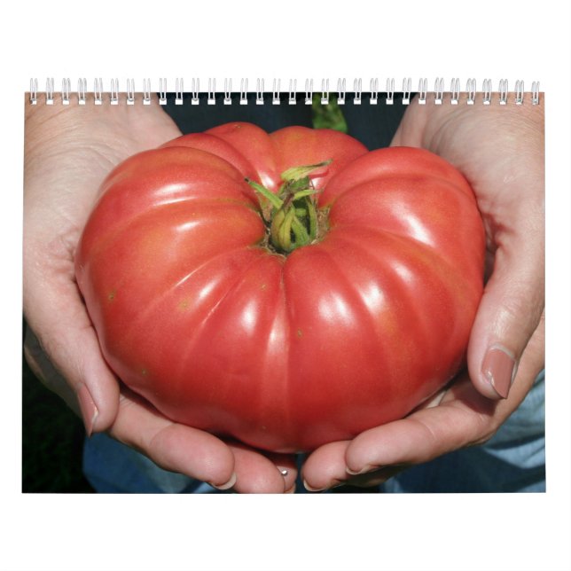 Calendrier Mural Belles vues mensuelles de jardin (Protection)