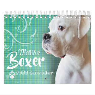 Calendrier mural blanc de boxeur
