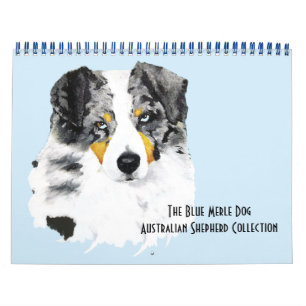 Calendrier Mural Blue Merle Australian Shepherd Deux pages M.Calend