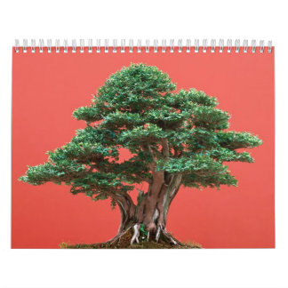 Calendrier Mural Bonsaïs d'if