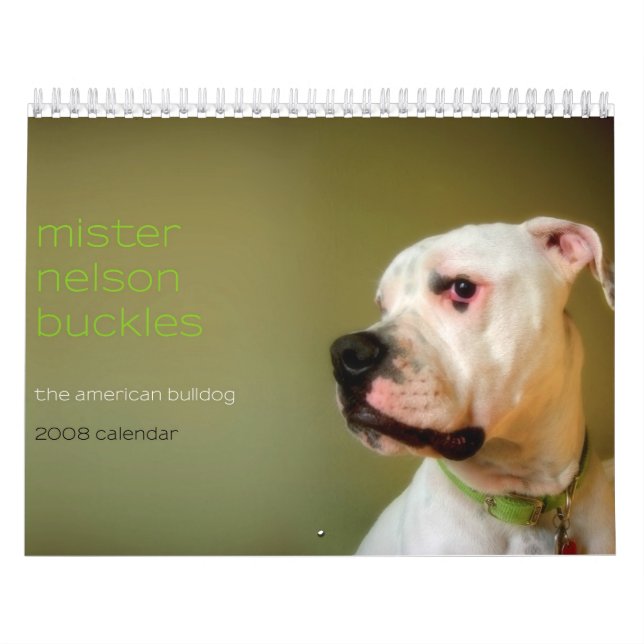 Calendrier Mural Boucles de Monsieur Nelson : Le bouledogue (Protection)