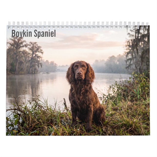 Calendrier mural Boykin Spaniel 2027 (Protection)