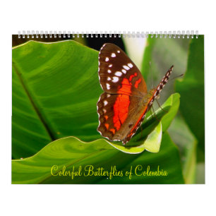 Calendrier Mural Butteflies tropical