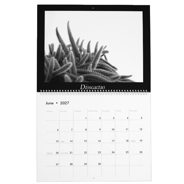 Calendrier Mural Cactus monochromes 2016 (Jun 2027)