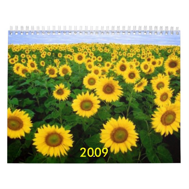 Calendrier Mural Calendrier, 2009 (Protection)