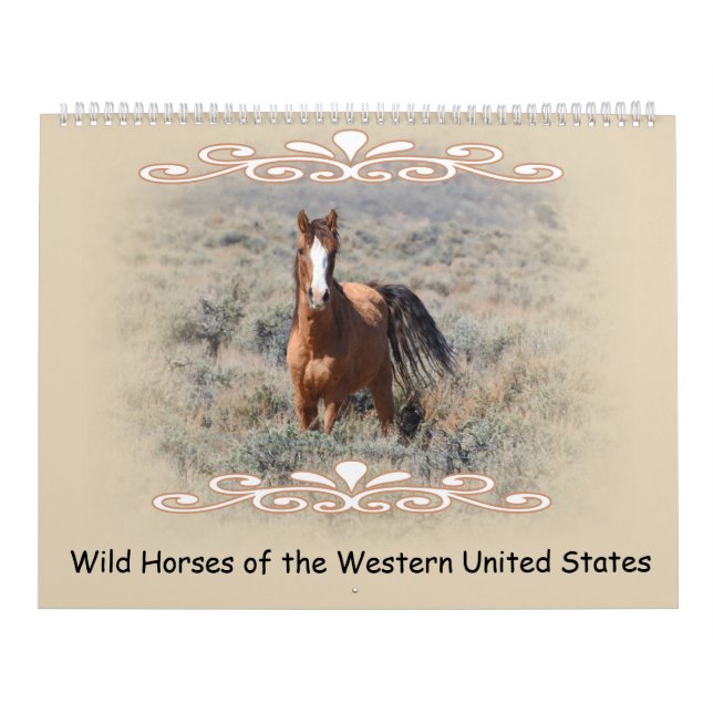Calendrier Mural Calendrier, faune, chevaux sauvages, Etats-Unis (Protection)