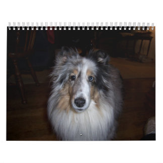 Calendrier Mural Calendrier-Wheaton 2011 de Gallagher