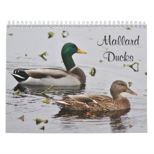 Calendrier Mural Canards de Mallard