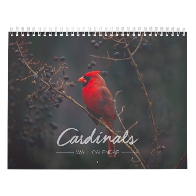 Calendrier mural cardinal (Protection)