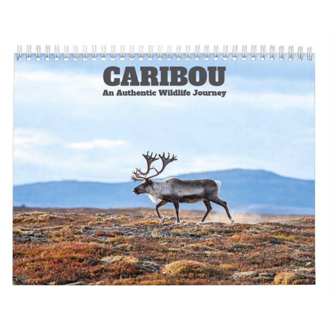 Calendrier mural Caribou 2027 (Protection)