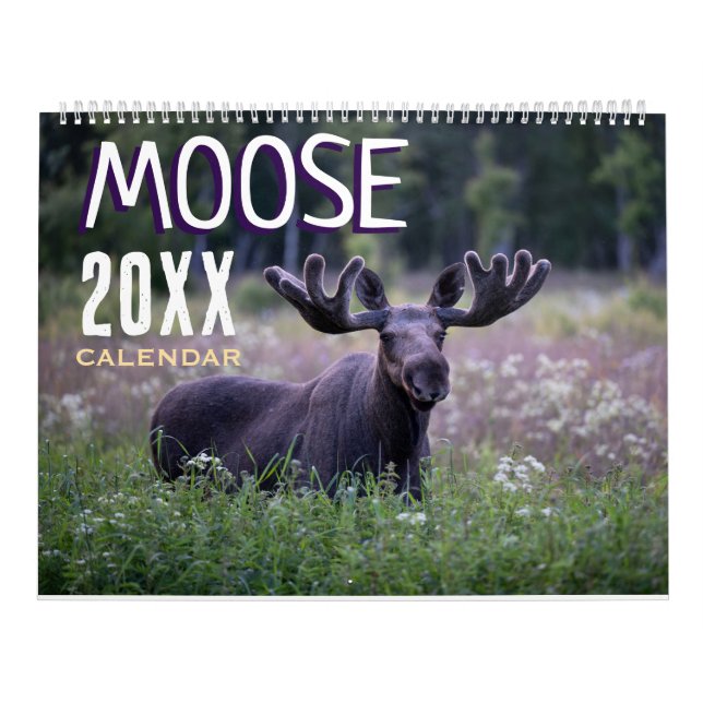Calendrier mural Cerf 2027 Faune Animaux (Protection)
