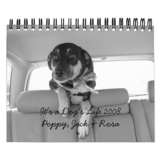 Calendrier Mural C'est la vie 2008 d'un chien