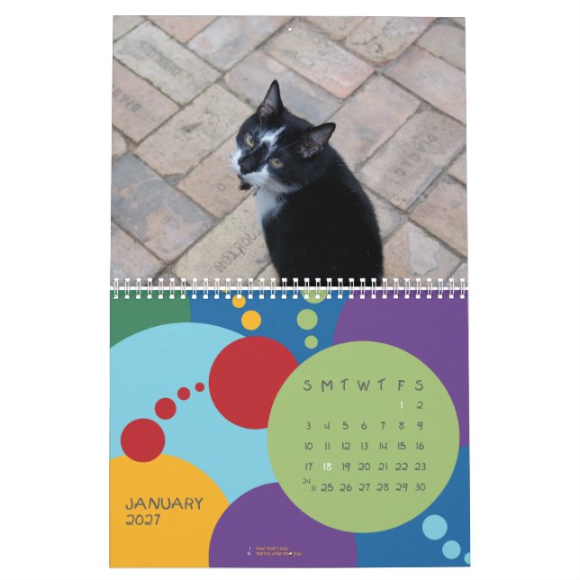 Calendrier Mural C'est MON anniversaire, SUCKAS ! ! ! (Jan 2027)