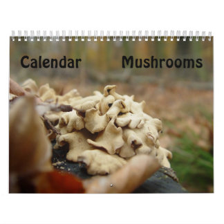 Calendrier Mural Champignons