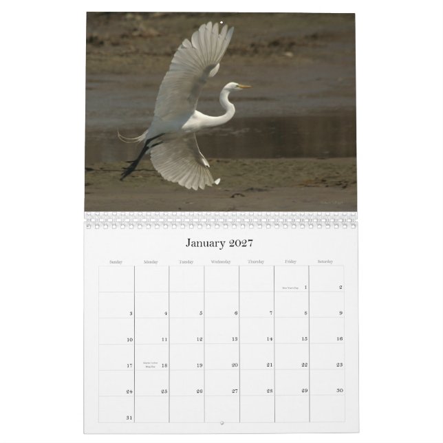 Calendrier Mural Charadriidés - 2010 (Jan 2027)