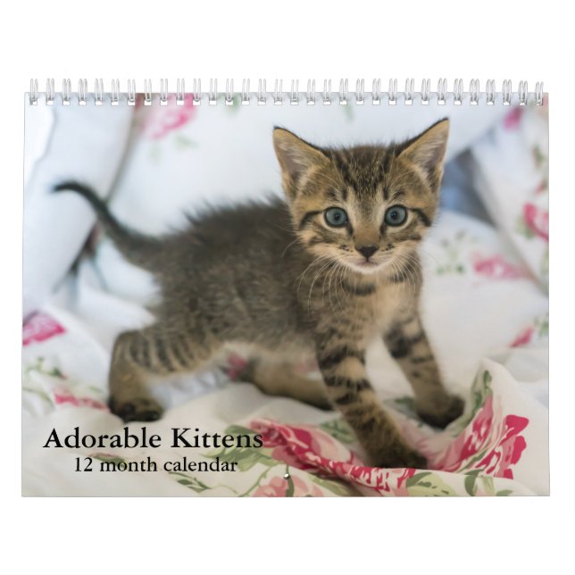 Calendrier Mural Chatons adorables 2026 Chatons Douze Mois Chat (Protection)