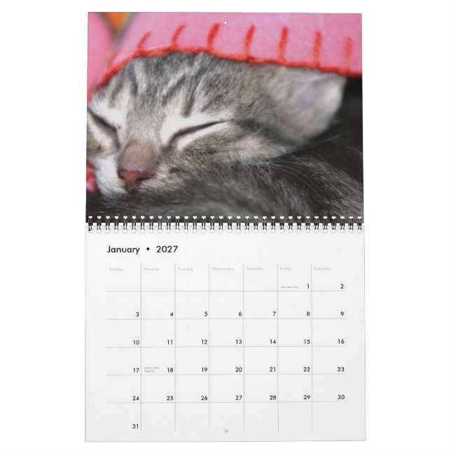 Calendrier Mural Chatons, chatons ! (Jan 2027)