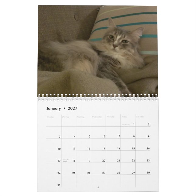 Calendrier Mural Chats 2015 Marlowe, Peepers et Gryphon (Jan 2027)