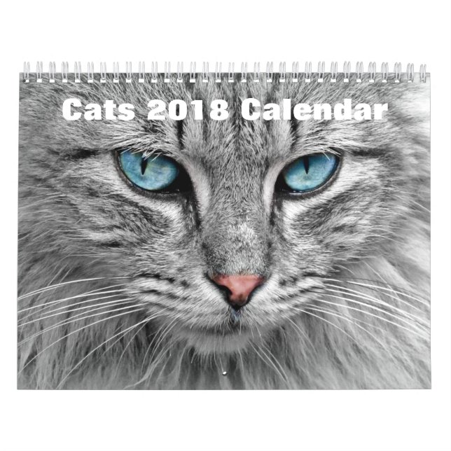 Calendrier Mural Chats 2017 (Protection)