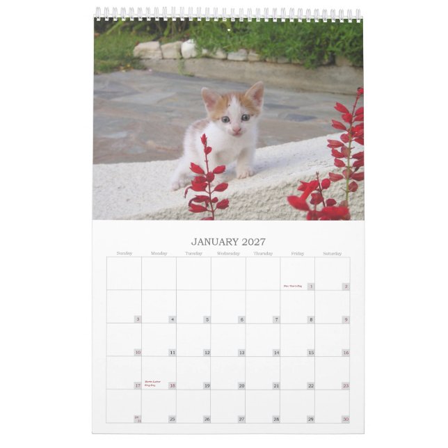 Calendrier Mural Chats grecs (Jan 2027)