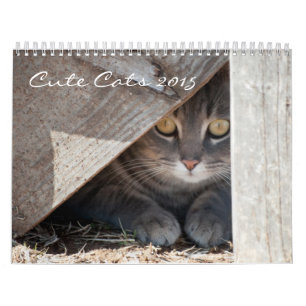 Calendrier Mural Chats mignons