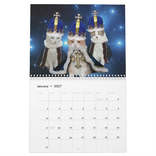 Calendrier Mural Chats/minous drôles (Jan 2027)