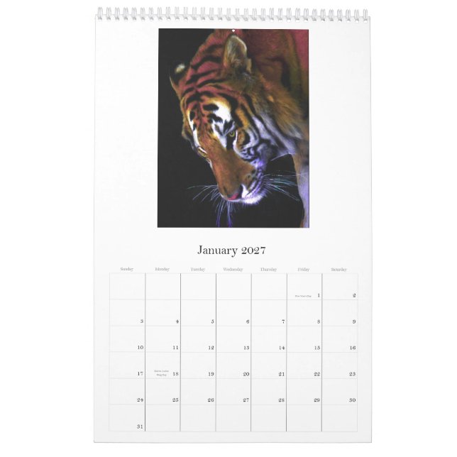 Calendrier Mural Chats sauvages et sauvages (Jan 2027)
