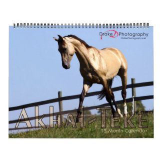 Calendrier Mural Cheval d'Akhal-Teke 2011