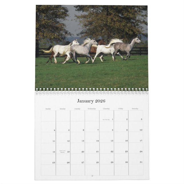 Calendrier Mural Chevaux Arabes (Jan 2026)