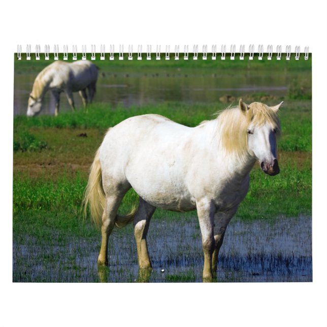CALENDRIER MURAL CHEVAUX BLANCS (Protection)