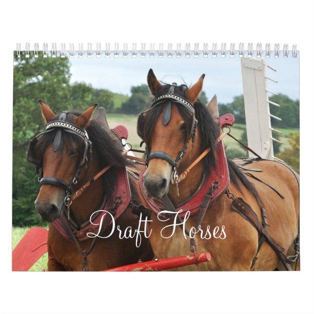 Calendrier Mural Chevaux de trait 2016 (Protection)