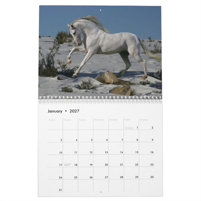Calendrier Mural Chevaux d'imaginaire (Jan 2027)