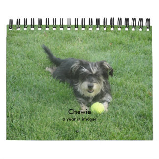 Calendrier Mural Chewie : Une année dans les images