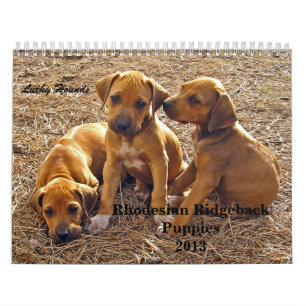 Calendrier Mural Chiots 2013 de Rhodesian Ridgeback