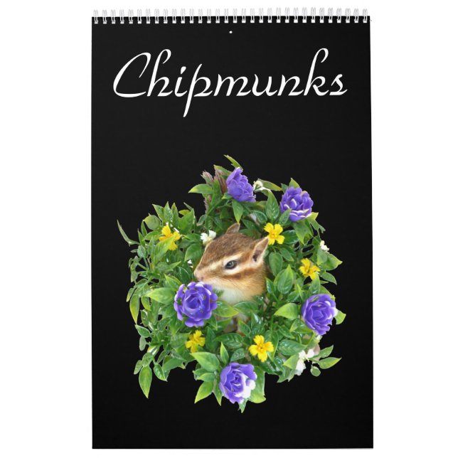 Calendrier Mural chipmunk's calendar  (All countries) (Protection)