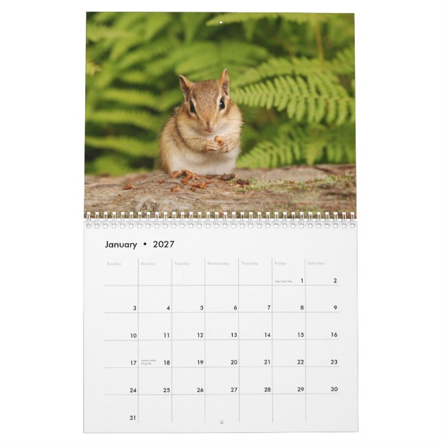 Calendrier Mural Chipmunks pour bébés 2014/2015 (calendrier de 16 m (Jan 2027)