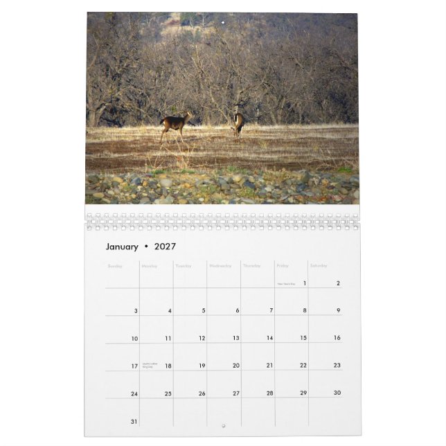Calendrier Mural Chose sauvage 2014 (Jan 2027)
